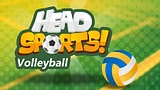 Head Sports Volleyball