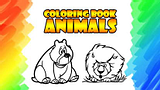 Livro de Colorir - Animais