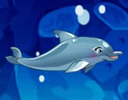 My Dolphin Show 6