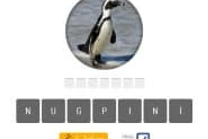 Animal Quiz