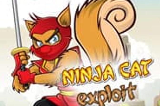 Placa Gato Ninja