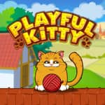 Playful Kitty