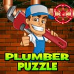 Puzzle Encanado