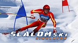 Slalom Simulador de Ski